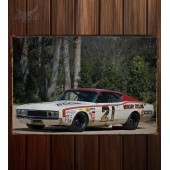 Металлическая табличка Mercury Cyclone Spoiler II Boss 429 NASCAR